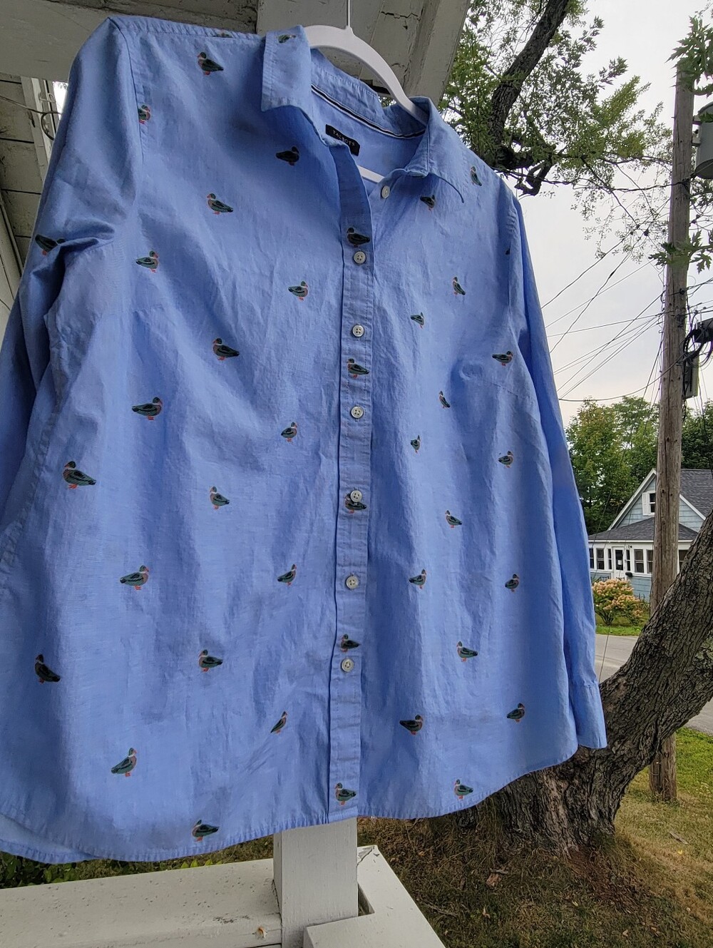 TALBOTS, Womens Button Top, Size- XLP, Color- Blue